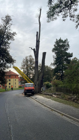 Mezitím co jsme volili,